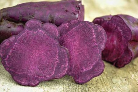 Growing Sweet Potatoes Image